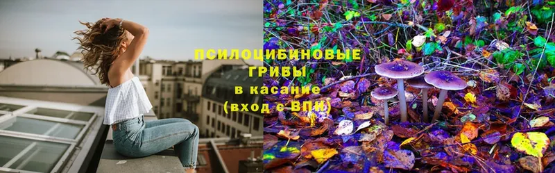 kraken как зайти  Мурманск  Псилоцибиновые грибы MAGIC MUSHROOMS 